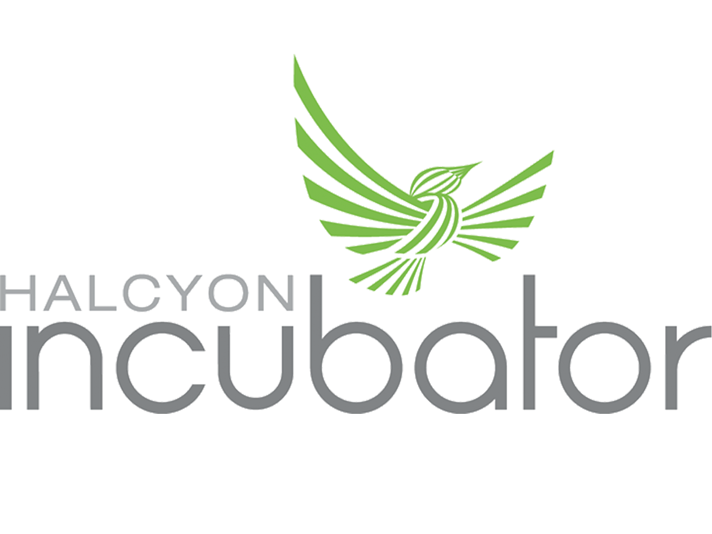 Halcyon                    Incubator                   